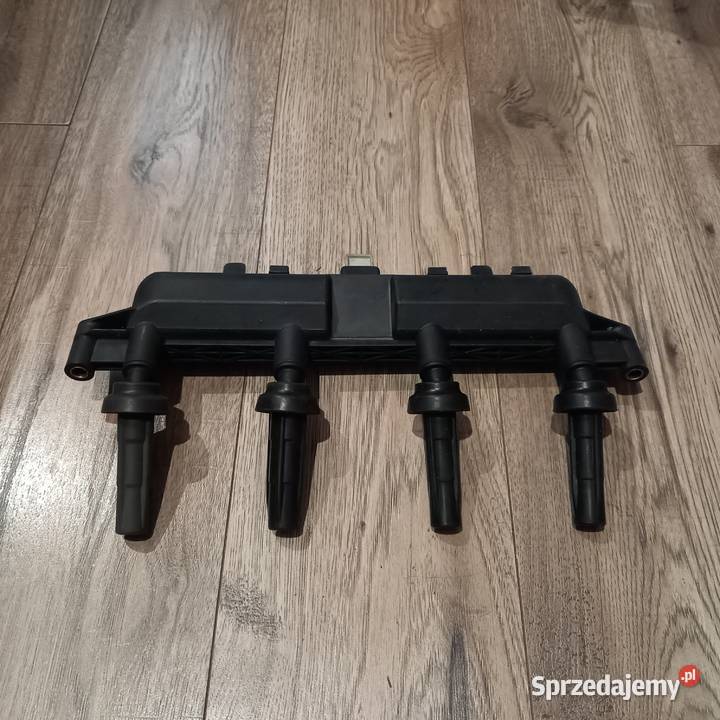 Cewka zapłonowa Peugeot 206 Katowice