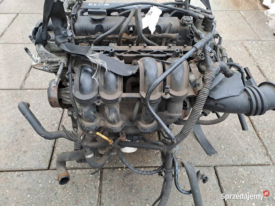 Ford Fokus MK2 16TiVCT skrzynia biegów 3M5R 7002 śląskie Jastrzębie-Zdrój