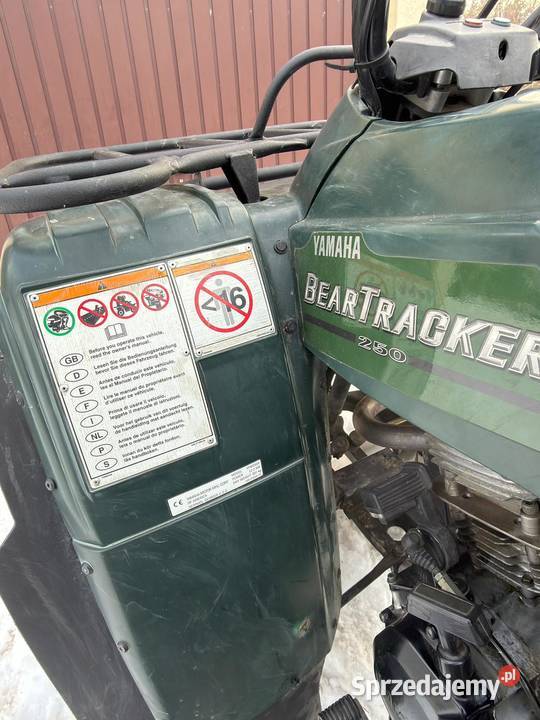 Quad bear tracker 250 Łuków