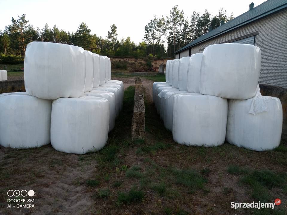 SPRZEDAM BELE SIANOKISZONKI I SIANA Zabiele Wielkie sprzedam