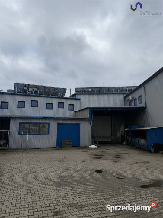 sprzedaży lokalu 3000m2 BielskoBiała Sprzedaż Bielsko-Biała