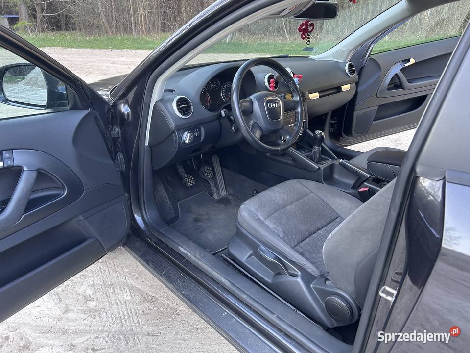 Audi A3 8PA 16TDI 105 Żarki
