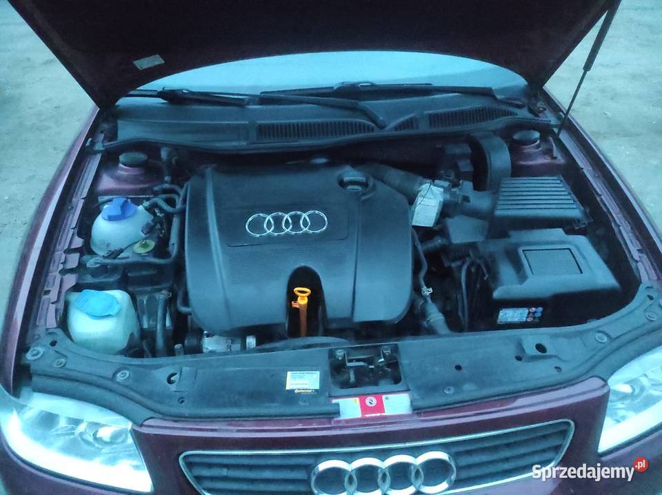 Audi A3 8L dolnośląskie