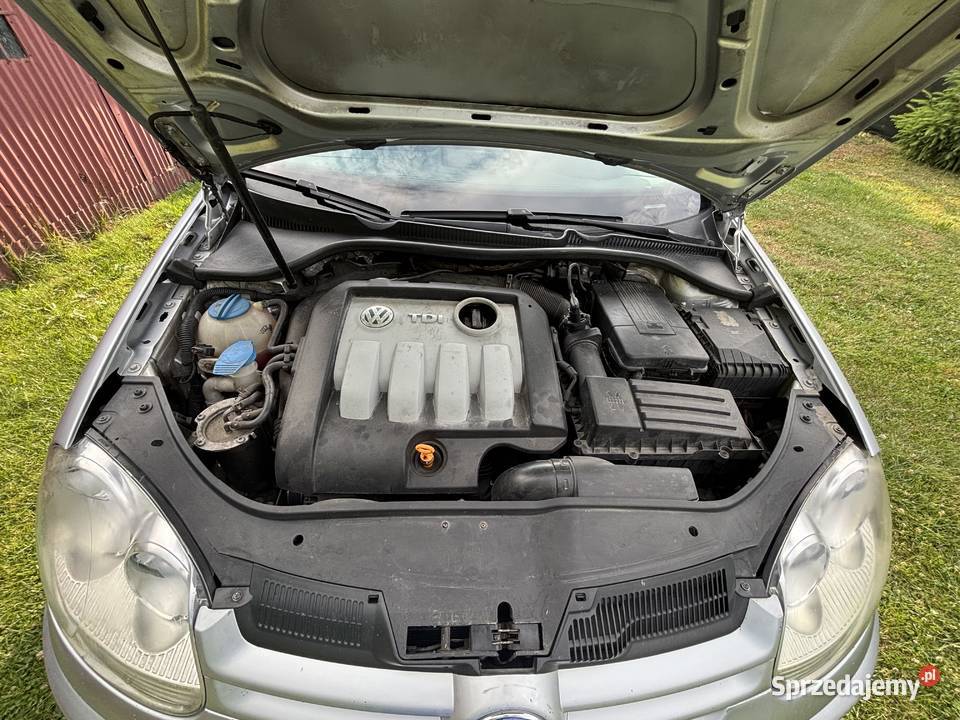 Volkswagen Golf 5 19 TDI 144 Żarów