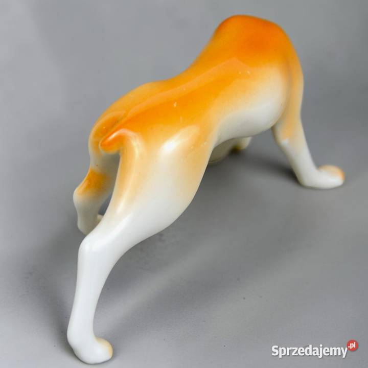 Pies wyżeł krótkowłosy Aurl Kldor porcelana mazowieckie Bronisze