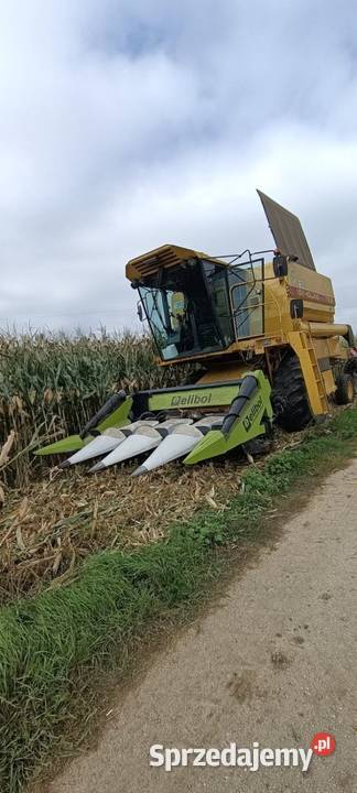 Pszystawka do kukurydzy Czulice