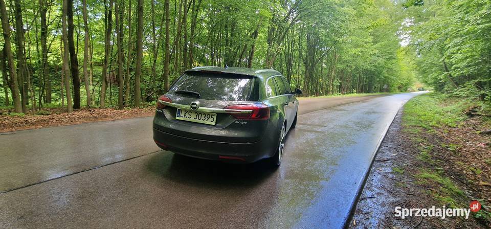 Opel Insignia 20 Ecoflex ogranicznik prędkości lubelskie Zamość