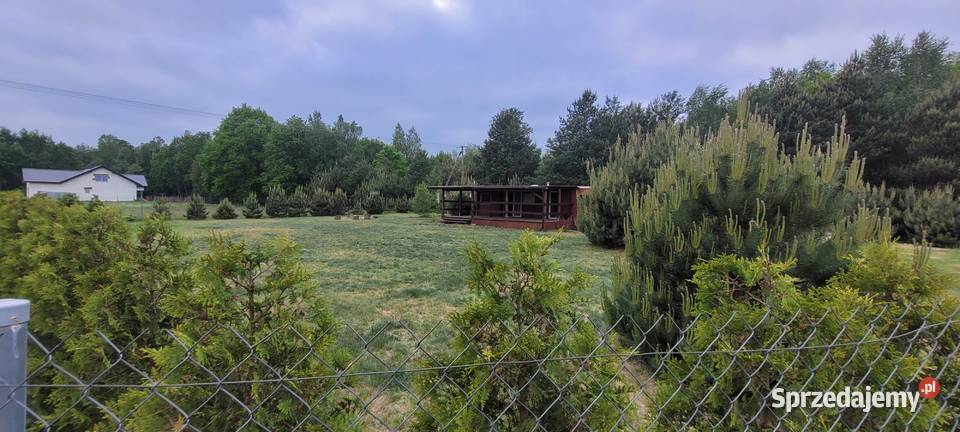 Działka rekreacyjna z warunkami prąd Złotniki-Kolonia sprzedam
