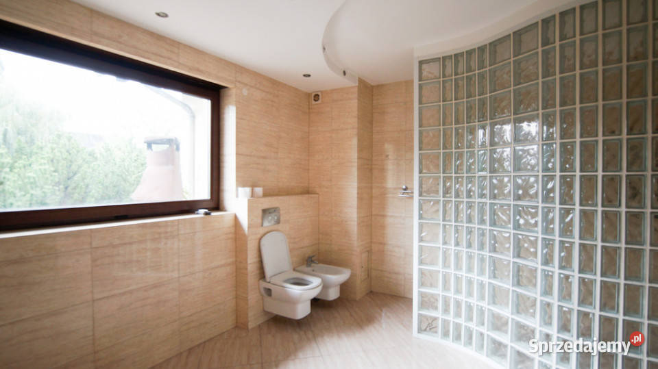 Do sprzedania dom z dużym stawem OpoleCzarnowąsy