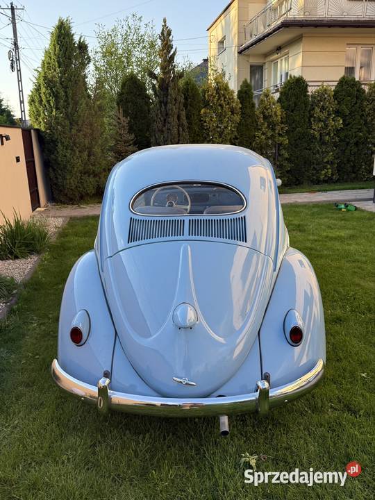 VW Garbus Oval 1954 Olesno