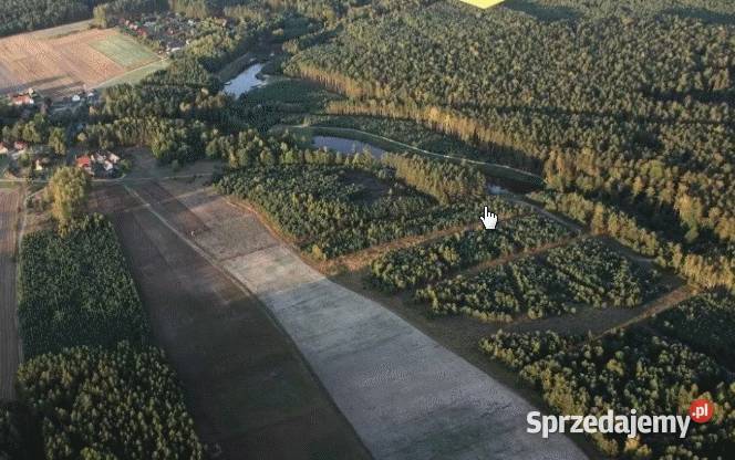Działka rekreacyjna z prawem zabudowy letniskowa polna Sprzedaż Leśna