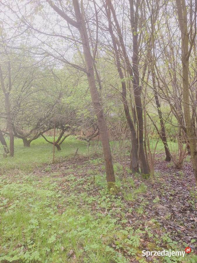 Piękną działkę w Lesie Wolskim sprzedam Kraków