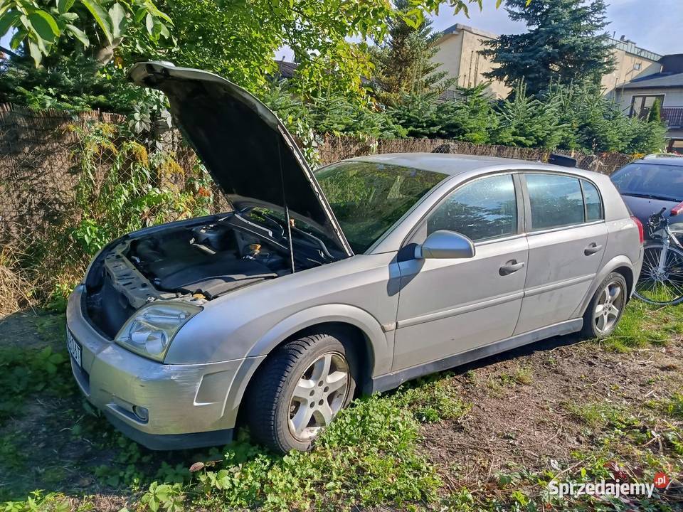 Opel Signum
