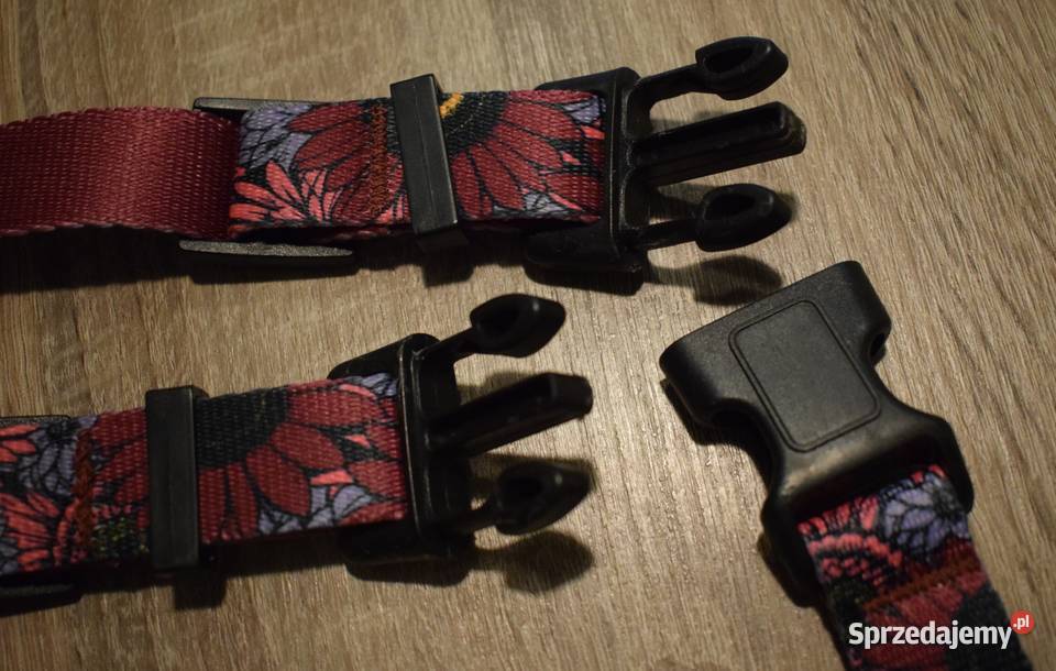 Szelki psa z serii Story Carnival marki Chaba kujawsko-pomorskie Chełmno