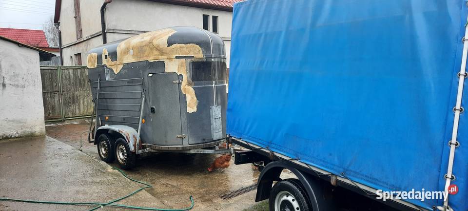 Przyczepa do przewozu koni Czerwona Woda sprzedam