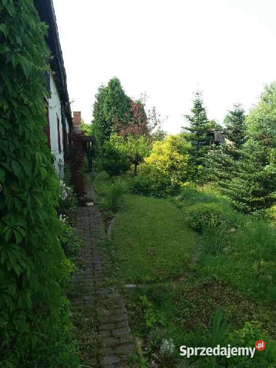 Sprzedam obszerny parterowy dom pod miastem Brzeziny-Kolonia