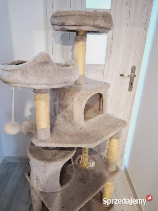 Drapak kota zadbanyduzy Dla kotów Braniewo