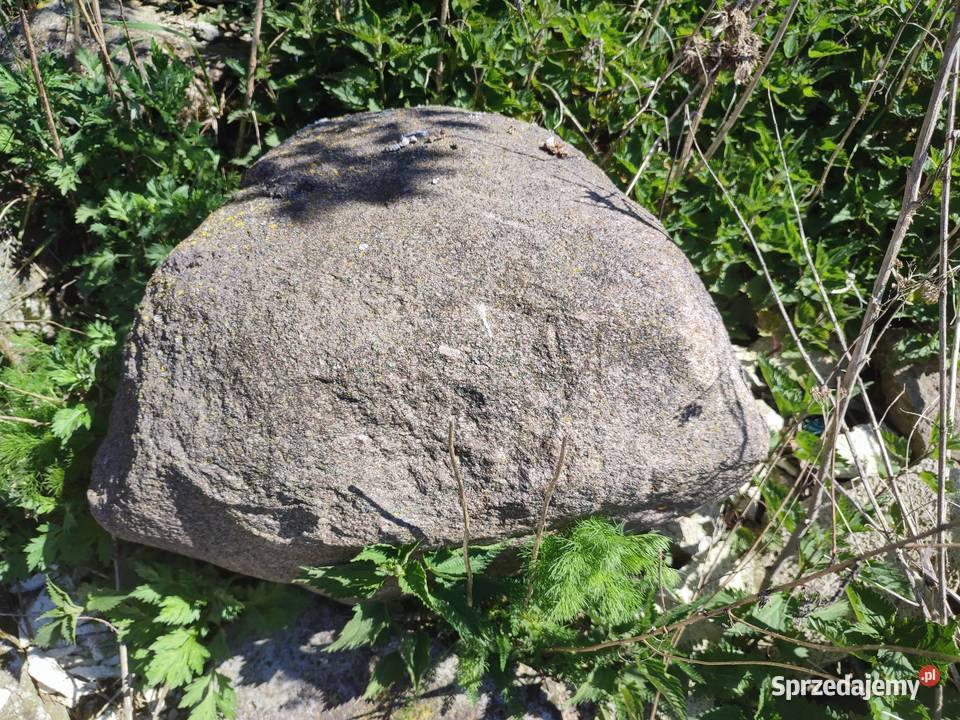 Kamienie polne na skalniak