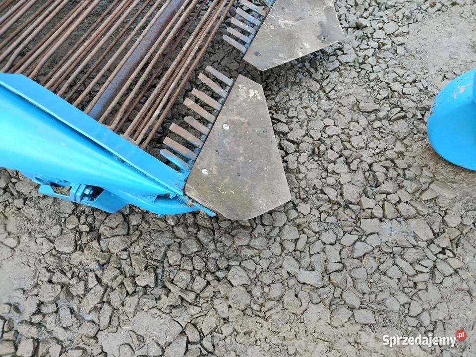Kopaczka elewatorowa taśmy metalowe transport Limanowa sprzedam