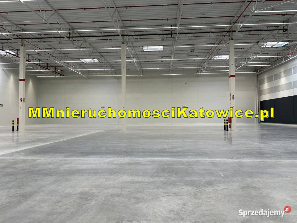 Magazyny do wynajęcia łódzkie Łowicz A2 plac sprzedam