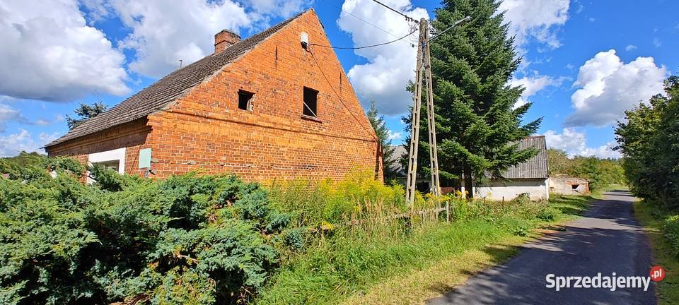 Działka rolnobudowlana 48 arów utwardzona Nieruchomości Barnówko