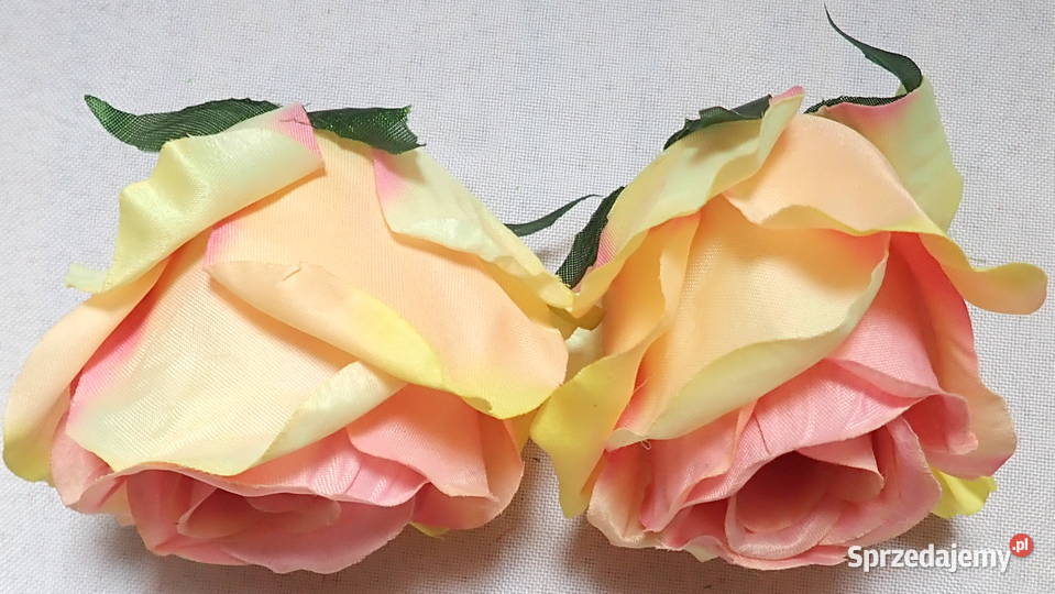 Róże rozwinięte różne kolory 1 śred 11 LA641 śląskie Siewierz sprzedam