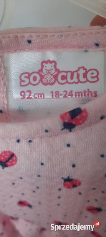 Sukienka biedronki dziewczynki 92 Socute 2 lata+ Krosno