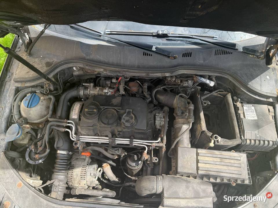 Volkswagen Passat podkarpackie