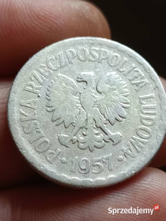 Sprzedam monetę 1 zloty 1957 r mała skrętka wwq Numizmatyka Chełm sprzedam