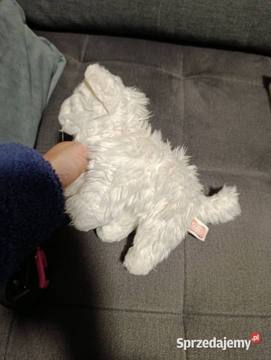 kot biały pluszak maskotka zabawka pluszowa Poznań