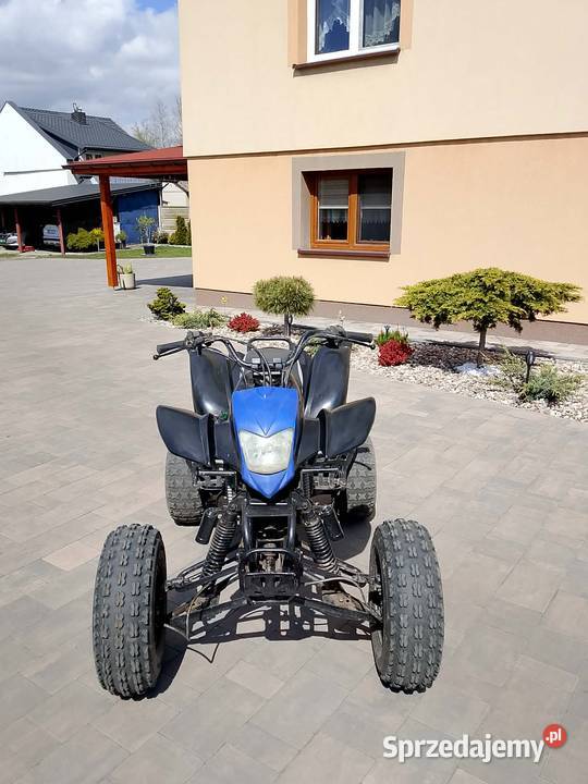 Sprzedam Bashana 250 Borek Czarniński