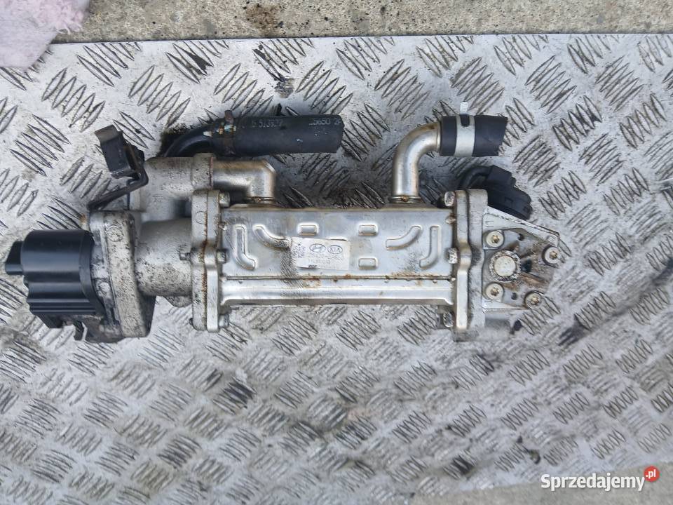 Zawór EGR Chłodniczka 284102A850 Hyundai Kia 17 Radłów