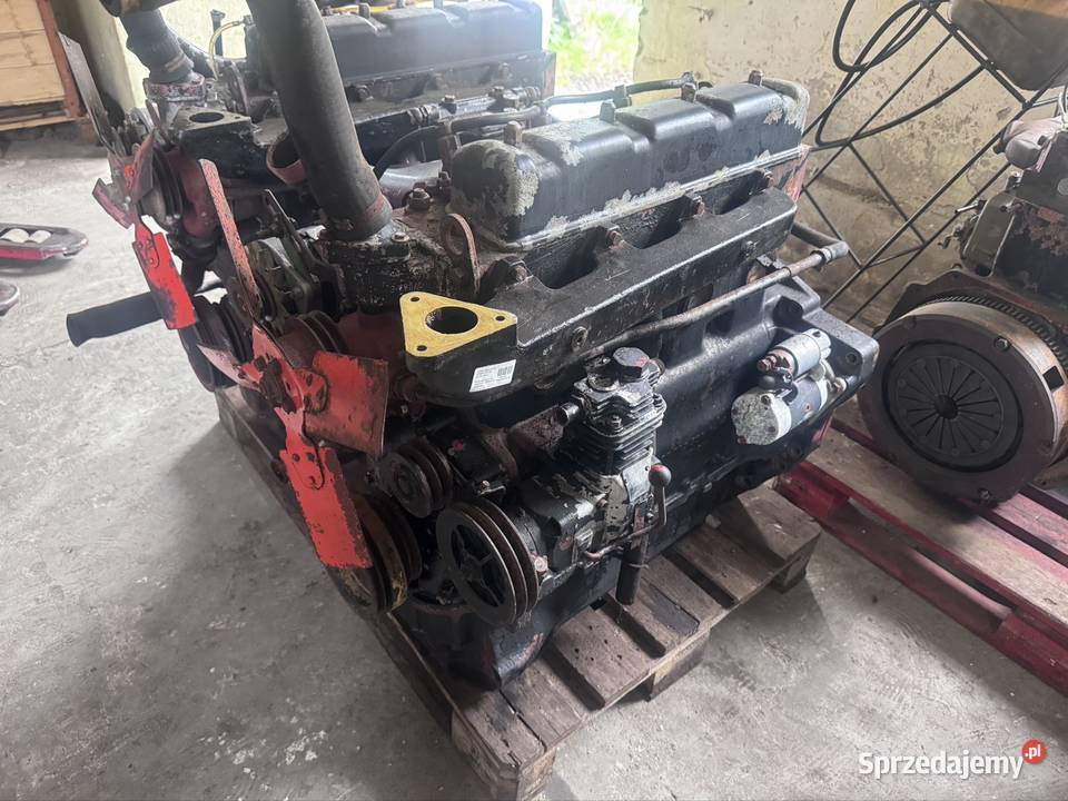 Silnik Ursus Zetor 4 cylindrowy Nowy typ wielkopolskie Gniezno sprzedam