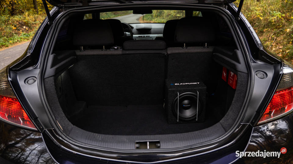 Opel Astra H GTC III 19 CDTI 150 2006 Wola Filipowska