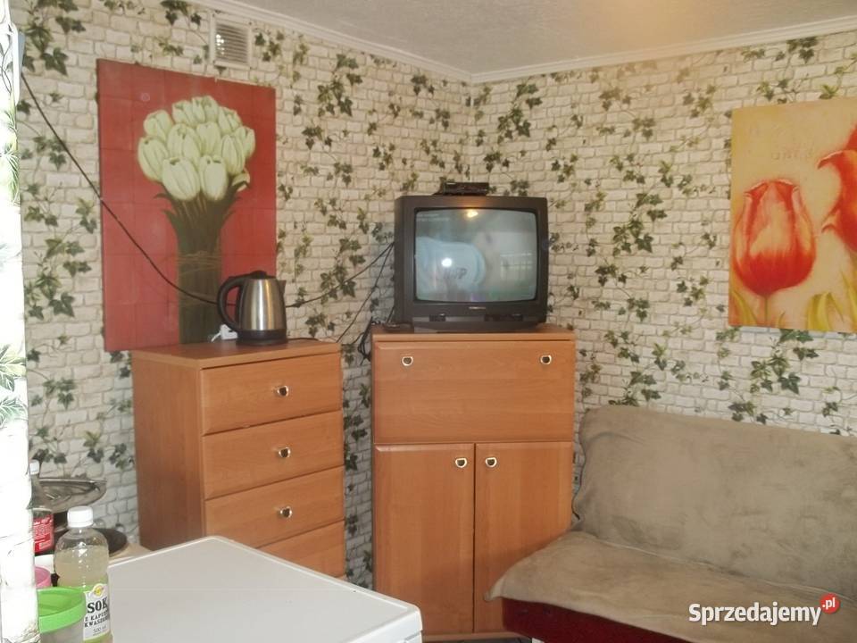 Ładna działka ROD Jeziorem 81zł/m2 Szczecin