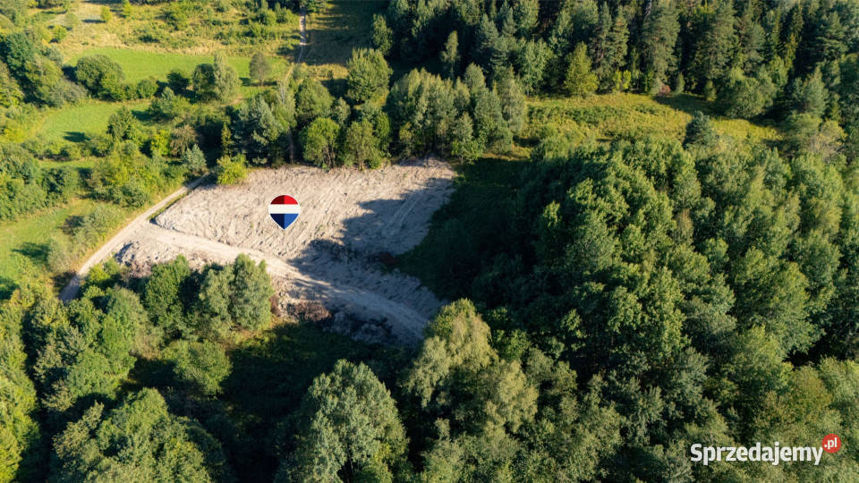 Działka rolna Sprzedaż Kasina Wielka Polska 29zł/m2