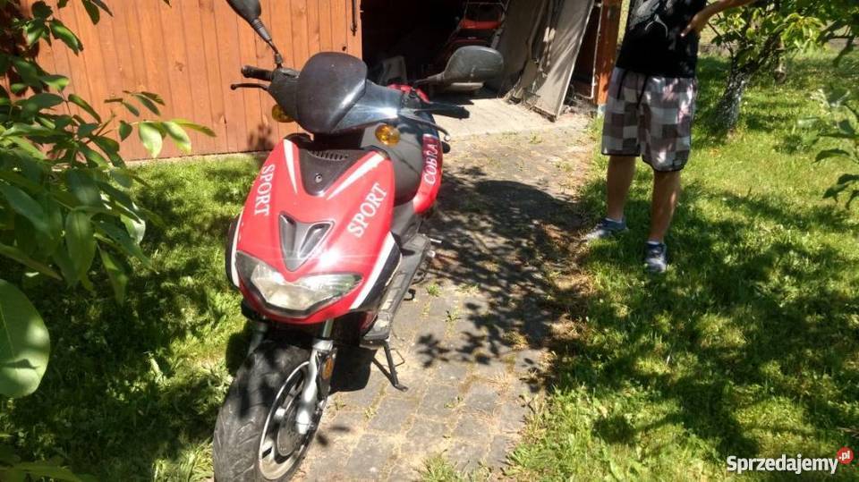 Kingway Cobra Sport Poręba Żegoty