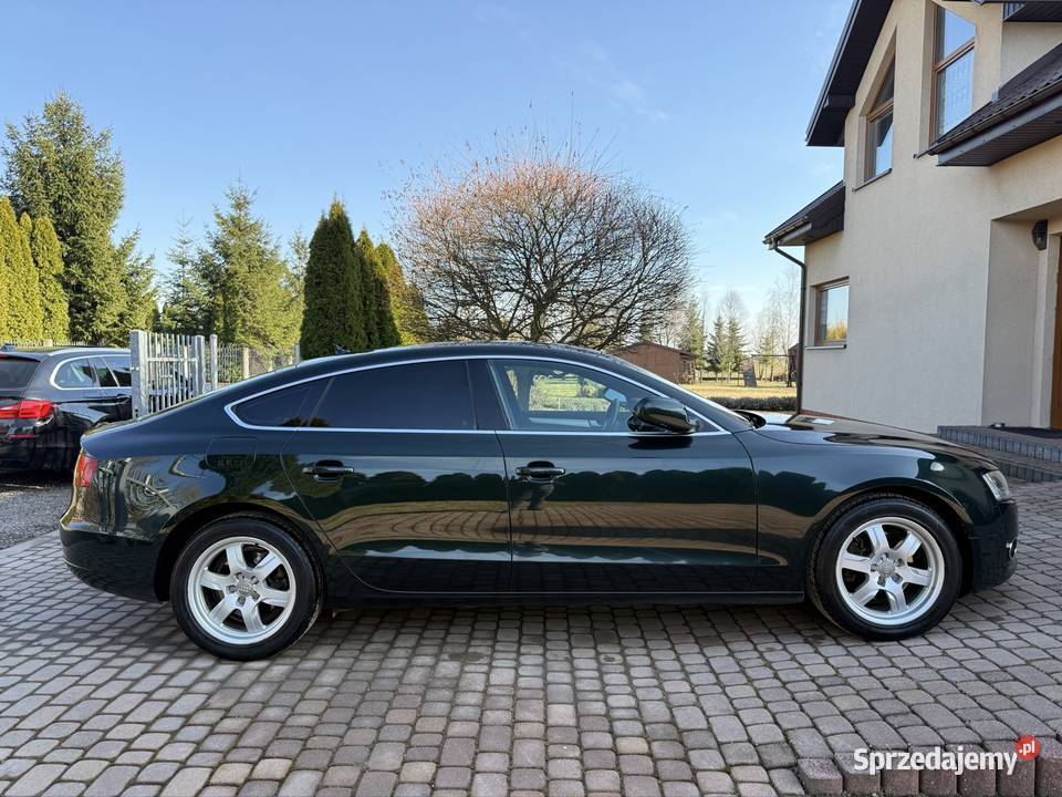 Audi A5 Sportback 20 TDI 170 Kamera Chrom Alu Kutno