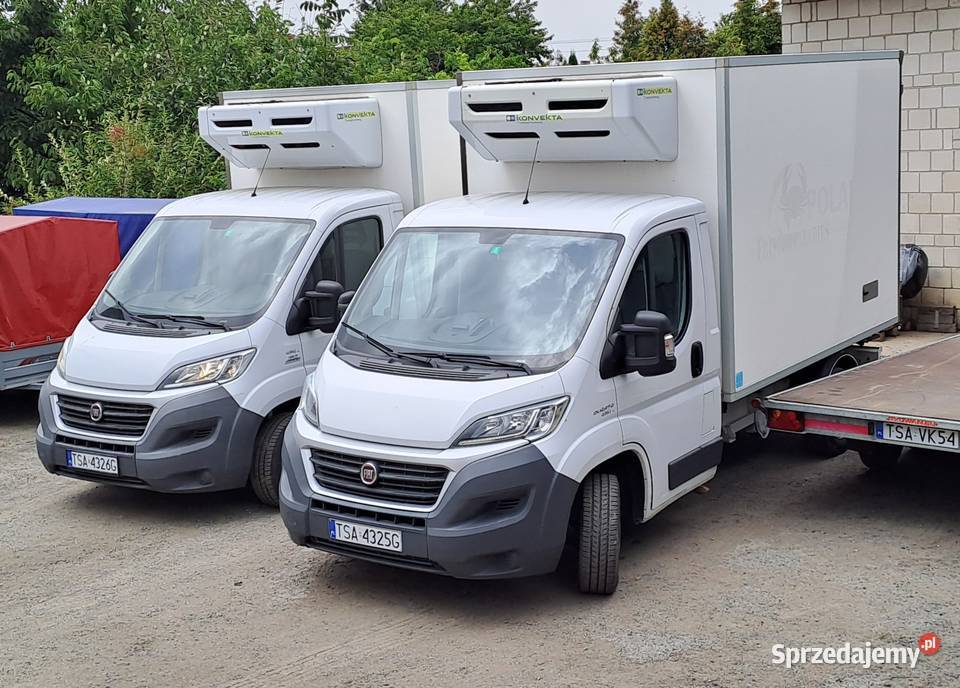 FIAT DUCATO 23jtd 130 2016r CHŁODNIA MROŹNIA 25 świętokrzyskie Sandomierz