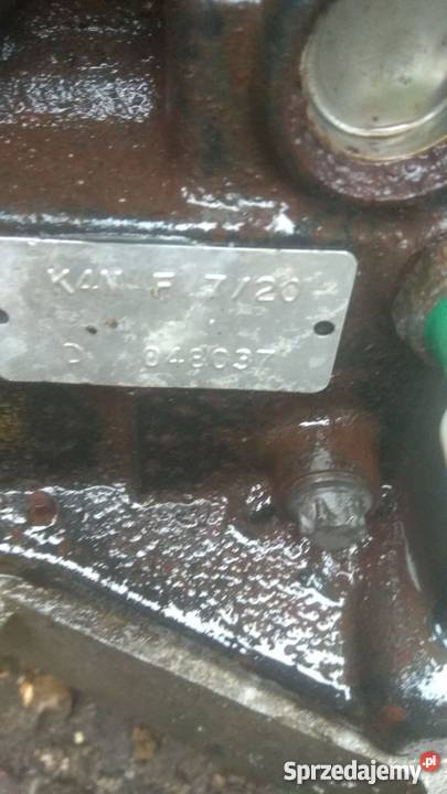 Silnik benzynowy RENAULT LAGUNA CLIO KANGOO Margonin