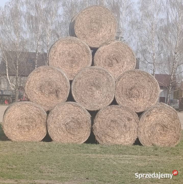 słoma bele 150 Radzyń Podlaski