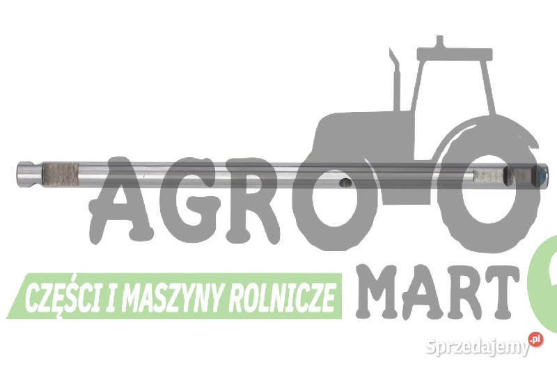 1678865M1 WODZIK WIDEŁKI AGCO dolnośląskie Wichrów