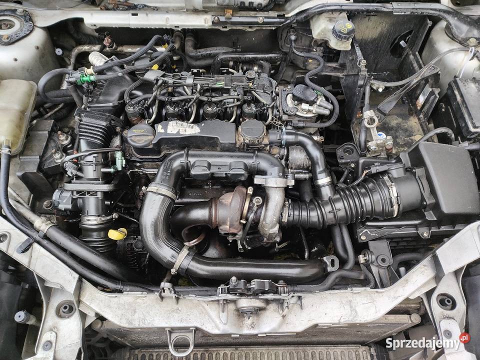 Silnik 16 TDCi 90 lubelskie Zamość