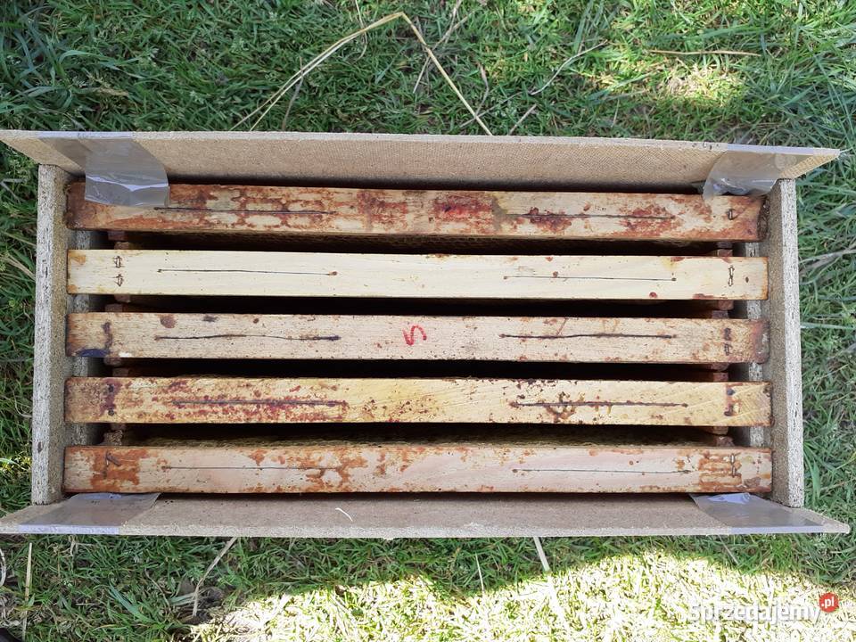 Skrzynka skrzynki transportowe na 45 ramek Akcesoria dla zwierząt mazowieckie