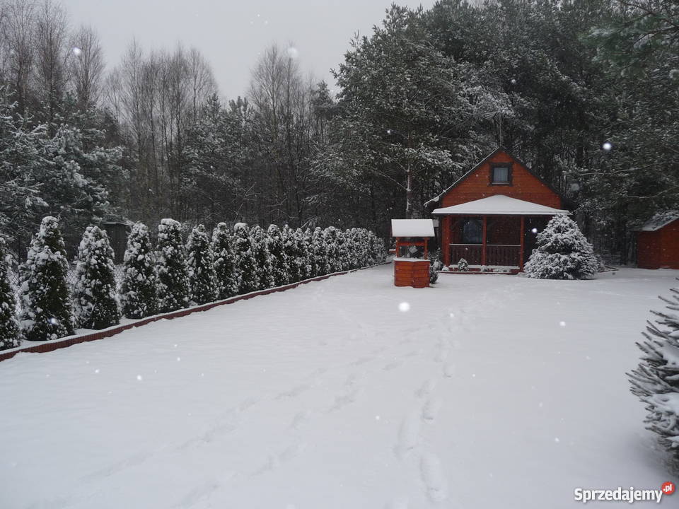 sprzedam działkę letniskową z domkiem ocieplonym gont Domy łódzkie sprzedam