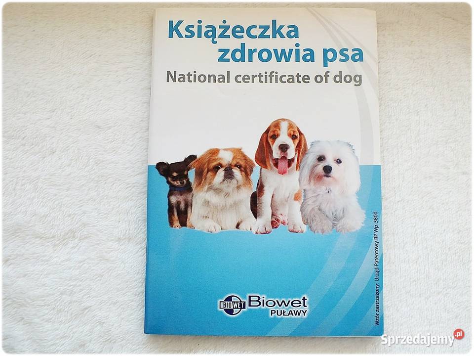 Książeczka Zdrowia Psa małej rasy mix ras Nowa lubuskie Lubsko