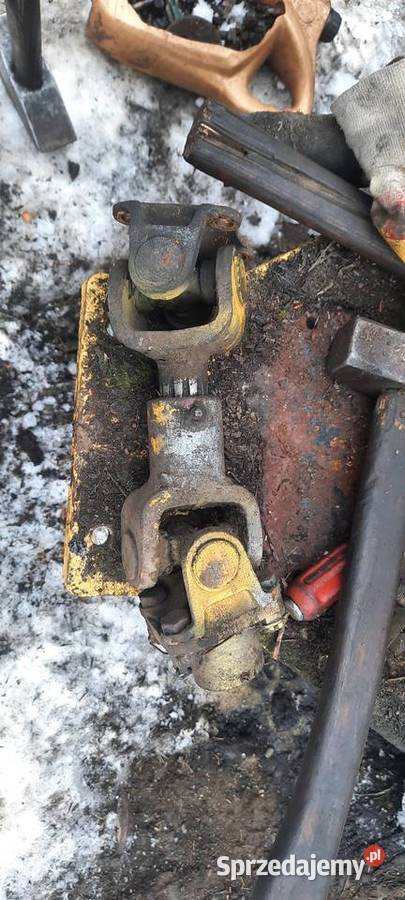 Ostrówek Wałek pompy głównej Rabka-Zdrój