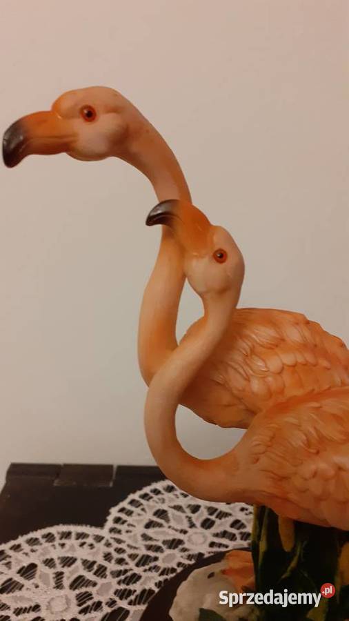 Flamingi odcienie różowego Dekoracje i ozdoby zachodniopomorskie Szczecin