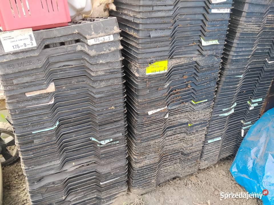 wielodoniczki multiplaty do sadzonek 104 otwory Łuków