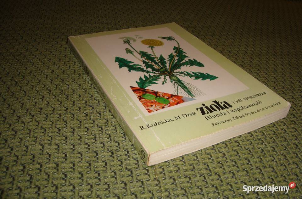 Właściwości lecznicze ziół naturalnych z Tychy